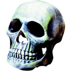 Penn-Plax Deco Replicas Human Skull Fish Ornament, Grey