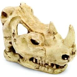 Penn-Plax Rhino Skull Aquarium Decoration Fish Ornament, Brown