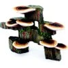 Penn-Plax Deco-Replicas Tree Trunk With Shelf Mushrooms Fish Ornament, Small, Brown -Plax Penn Shop 881246 MAIN. AC SS1800 V1688393321