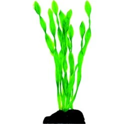 Penn-Plax Betta Size Plastic Fish Plant, Green, 6 Count -Plax Penn Shop 881470 PT1. AC SS1800 V1688156863