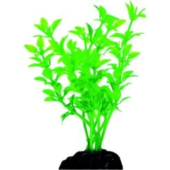 Penn-Plax Betta Size Plastic Fish Plant, Green, 6 Count -Plax Penn Shop 881470 PT2. AC SS1800 V1688390399