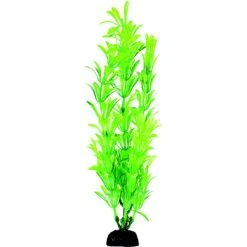 Penn-Plax 12-in Plastic Fish Plant, Green, 6 Count 9 Penn-Plax 12-in Plastic Fish Plant, Green, 6 Count -Plax Penn Shop 881486 PT2. AC SS1800 V1688159910
