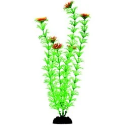 Penn-Plax 12-in Plastic Fish Plant, Green, 6 Count 10 Penn-Plax 12-in Plastic Fish Plant, Green, 6 Count -Plax Penn Shop 881486 PT3. AC SS1800 V1688146823