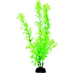 Penn-Plax 8-in Plastic Fish Plant, Green, 6 Count -Plax Penn Shop 881502 PT3. AC SS1800 V1688146882