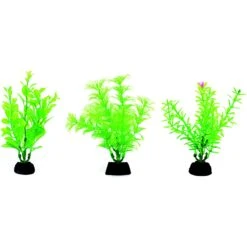 Penn-Plax 4-in Plastic Fish Plant, Green, 6 Count