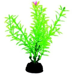 Penn-Plax 4-in Plastic Fish Plant, Green, 6 Count -Plax Penn Shop 881518 PT3. AC SS1800 V1688156777