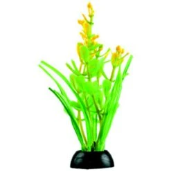 Penn-Plax 4-in Natural Betta Fish Plant, Multicolor, 12 Count -Plax Penn Shop 881582 PT2. AC SS1800 V1688156780