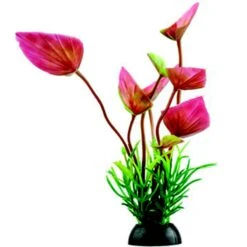 Penn-Plax 4-in Natural Betta Fish Plant, Multicolor, 12 Count -Plax Penn Shop 881582 PT3. AC SS1800 V1688157297