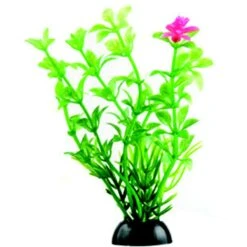 Penn-Plax 4-in Natural Betta Fish Plant, Multicolor, 12 Count -Plax Penn Shop 881582 PT5. AC SS1800 V1688148595