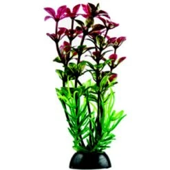 Penn-Plax 4-in Natural Betta Fish Plant, Multicolor, 12 Count -Plax Penn Shop 881582 PT6. AC SS1800 V1688154679