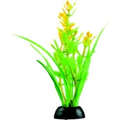 Penn-Plax 4-in Natural Betta Fish Plant, Multicolor, 12 Count -Plax Penn Shop 881582 PT7. AC SS1800 V1688146886