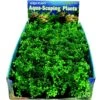 Penn-Plax Aqua-Scaping Green Bunch Fish Plant, Small, Green, 5 Count -Plax Penn Shop 881638 MAIN. AC SS1800 V1688147896