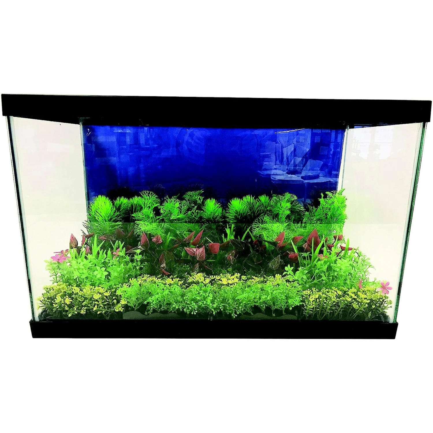 Penn-Plax Aqua-Scaping Green Bunch Fish Plant, Small, Green, 5 Count 6 Penn-Plax Aqua-Scaping Green Bunch Fish Plant, Small, Green, 5 Count - Image 4