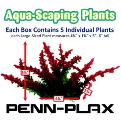 Penn-Plax Aqua-Scaping Red Bunch Fish Plant, Large, Red, 5 Count -Plax Penn Shop 881654 PT2. AC SS1800 V1688147780