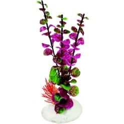 Penn-Plax Rock Fish Plant, 8-in H -Plax Penn Shop 881678 PT2. AC SS1800 V1688147775