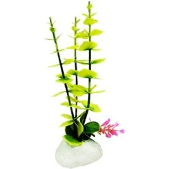 Penn-Plax Rock Fish Plant, 8-in H -Plax Penn Shop 881678 PT3. AC SS1800 V1688157178