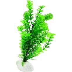 Penn-Plax Rock Fish Plant, 12-in H -Plax Penn Shop 881694 PT3. AC SS1800 V1688153628