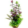 Penn-Plax Style 1 Aqua Fish Plant, X-Large, Multicolor 2 Penn-Plax Style 1 Aqua Fish Plant, X-Large, Multicolor -Plax Penn Shop 881718 MAIN. AC SS1800 V1688146822