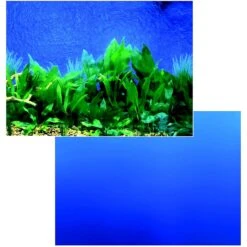 Penn-Plax Double-Sided Aquarium Fish Background, Multicolor