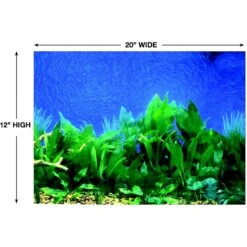 Penn-Plax Double-Sided Aquarium Fish Background, Multicolor -Plax Penn Shop 881854 PT3. AC SS1800 V1688147779