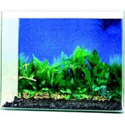 Penn-Plax Double-Sided Aquarium Fish Background, Multicolor -Plax Penn Shop 881854 PT5. AC SS1800 V1688156804