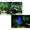 Penn-Plax Double-Sided Aquarium Fish Background, Aquarama/Shalescape 1 Penn-Plax Double-Sided Aquarium Fish Background, Aquarama/Shalescape -Plax Penn Shop 881870 MAIN. AC SS1800 V1688392697