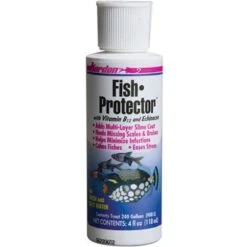 Kordon Fish Protector Conditioner, 4-oz Bottle