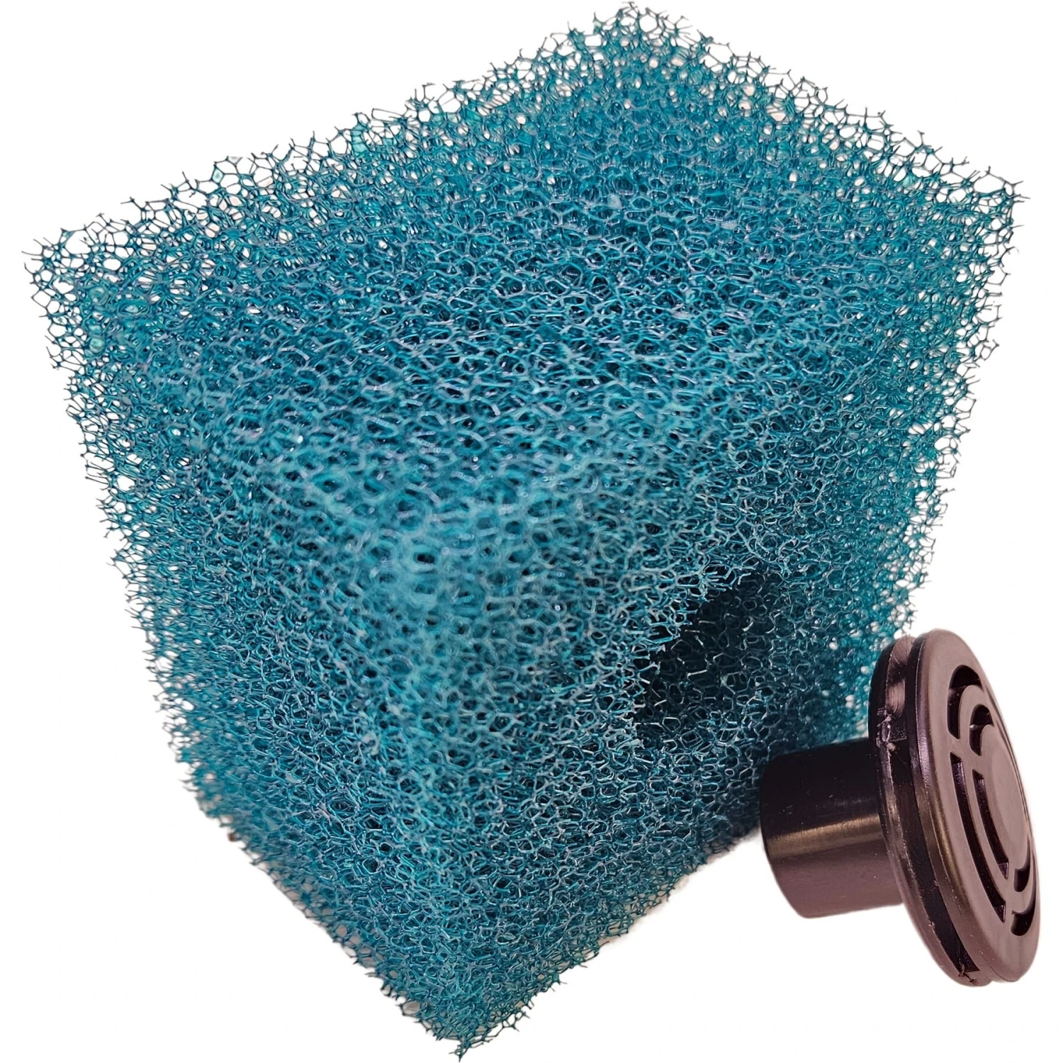 Lifegard CRYSTAL Peninsula Beveled Edge Low Iron Aquarium With Built In Side Filter, 6-mm,14-gal 11 Lifegard CRYSTAL Peninsula Beveled Edge Low Iron Aquarium With Built In Side Filter, 6-mm,14-gal - Image 9