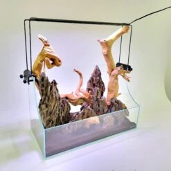 Lifegard Low Iron Ultra Clear Glass Terrarium/Paludarium Kit With LED Light, 5-mm, 3.6-gal