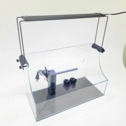 Lifegard Low Iron Ultra Clear Glass Terrarium/Paludarium Kit With LED Light, 5-mm, 3.6-gal 13 Lifegard Low Iron Ultra Clear Glass Terrarium/Paludarium Kit With LED Light, 5-mm, 3.6-gal -Plax Penn Shop 890822 PT3. AC SS1800 V1690208455