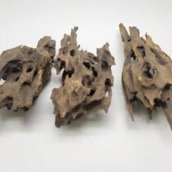 Lifegard Dragon Wood Piece, 15-22-in -Plax Penn Shop 891046 PT7. AC SS1800 V1690208931