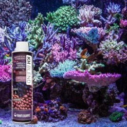 Reeflowers KH Blend A Part Balling Fish Aquarium Water Conditioner 17 Reeflowers KH Blend A Part Balling Fish Aquarium Water Conditioner -Plax Penn Shop 892846 PT7. AC SS1800 V1688757252