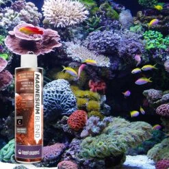 Reeflowers Magnesium Blend C Part Balling Fish Aquarium Water Conditioner -Plax Penn Shop 892886 PT7. AC SS1800 V1688756178