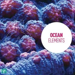 Reeflowers Potassium Blend Fish Aquarium Water Conditioner -Plax Penn Shop 892934 PT4. AC SS1800 V1688757250