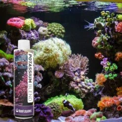Reeflowers Potassium Blend Fish Aquarium Water Conditioner -Plax Penn Shop 892934 PT6. AC SS1800 V1688750728