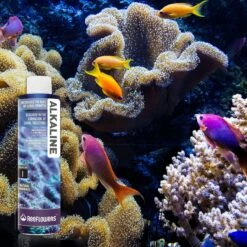 Reeflowers Alkaline Easy Balling I Fish Aquarium Water Conditioner, 17-oz Bottle -Plax Penn Shop 893006 PT7. AC SS1800 V1688756121