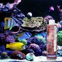 Reeflowers Coralline Algae Accelerator Fish Aquarium Water Conditioner -Plax Penn Shop 893046 PT6. AC SS1800 V1688749101