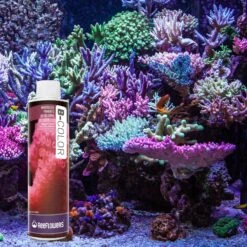 Reeflowers B-Color Fish Aquarium Water Conditioner, 8.5-oz Bottle -Plax Penn Shop 893070 PT6. AC SS1800 V1688757253