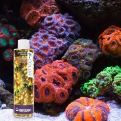 Reeflowers F-Color Fish Aquarium Water Conditioner, 8.5-oz Bottle -Plax Penn Shop 893086 PT6. AC SS1800 V1688757257