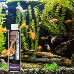 Reeflowers Goldfish Fish Aquarium Water Conditioner -Plax Penn Shop 893158 PT6. AC SS1800 V1688750661