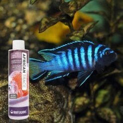 Reeflowers African Trace Fish Aquarium Water Conditioner 15 Reeflowers African Trace Fish Aquarium Water Conditioner -Plax Penn Shop 893190 PT6. AC SS1800 V1688750603