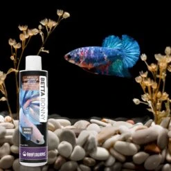 Reeflowers Betta Bonny Fish Aquarium Water Conditioner, 2.9-oz Bottle -Plax Penn Shop 893230 PT6. AC SS1800 V1688750670