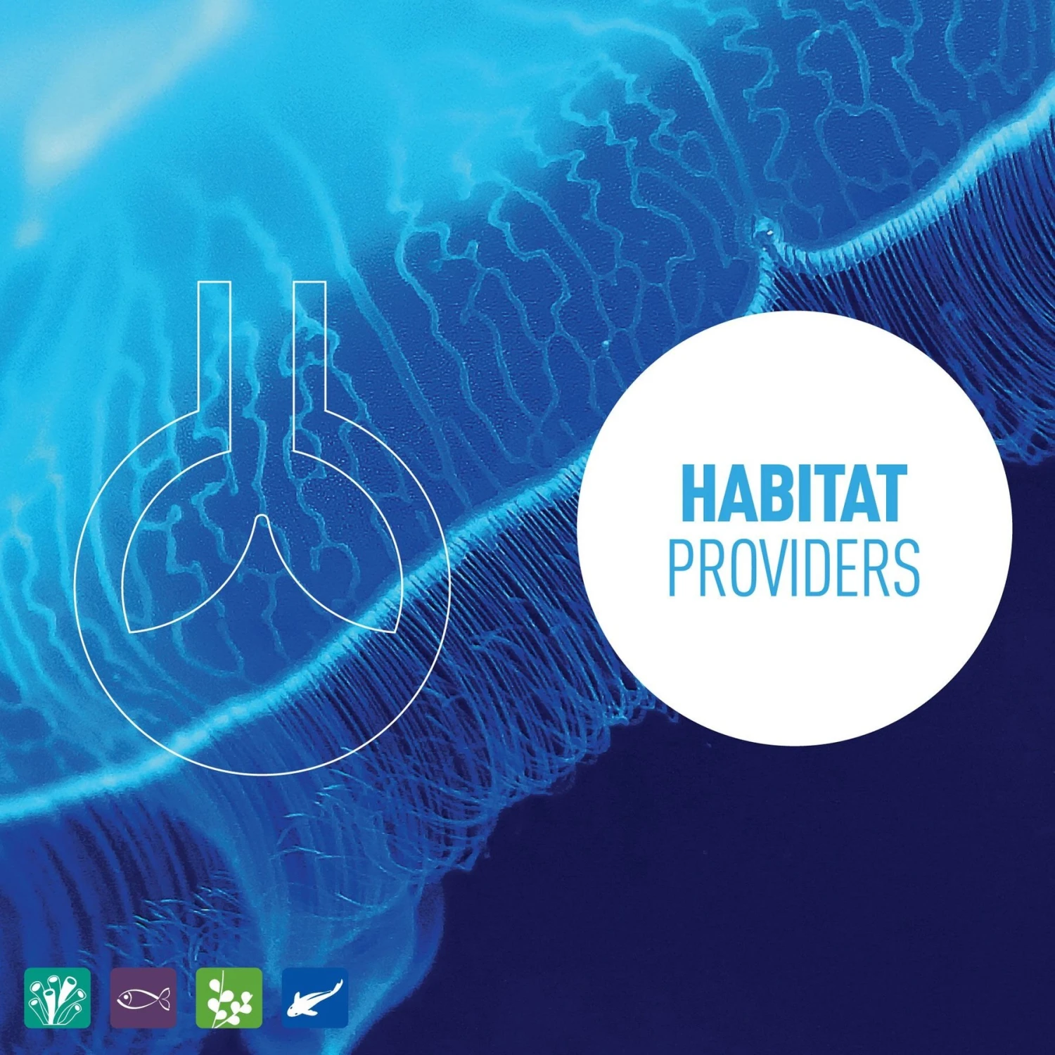 Reeflowers PH Minus Fish Aquarium Water Conditioner 7 Reeflowers PH Minus Fish Aquarium Water Conditioner - Image 5