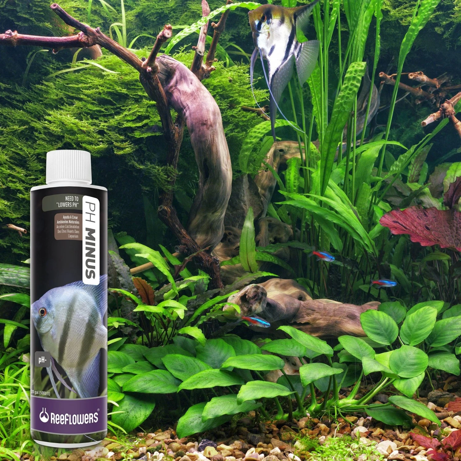 Reeflowers PH Minus Fish Aquarium Water Conditioner 9 Reeflowers PH Minus Fish Aquarium Water Conditioner - Image 7