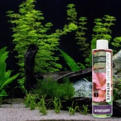 Reeflowers Aqua Plants Nitrate Balling Set I Fish Aquarium Water Conditioner -Plax Penn Shop 893310 PT7. AC SS1800 V1688749162