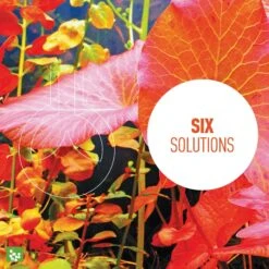 Reeflowers Aqua Plants Ferrous Balling Set V Fish Aquarium Water Conditioner 14 Reeflowers Aqua Plants Ferrous Balling Set V Fish Aquarium Water Conditioner -Plax Penn Shop 893406 PT4. AC SS1800 V1688756064