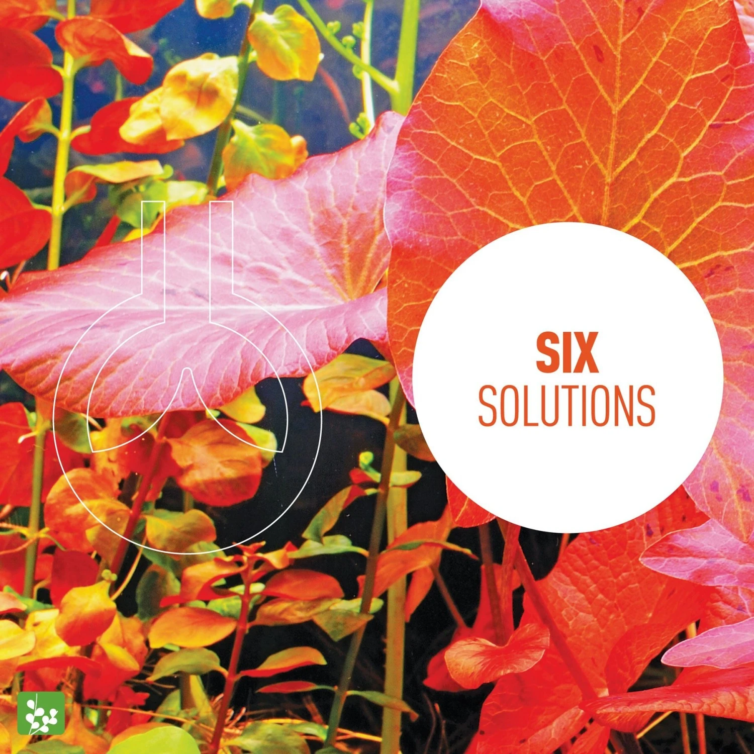 Reeflowers Aqua Plants Ferrous Balling Set V Fish Aquarium Water Conditioner 7 Reeflowers Aqua Plants Ferrous Balling Set V Fish Aquarium Water Conditioner - Image 5