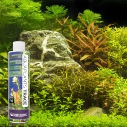 Reeflowers Aqua Plants Trace Balling Set VI Fish Aquarium Water Conditioner 17 Reeflowers Aqua Plants Trace Balling Set VI Fish Aquarium Water Conditioner -Plax Penn Shop 893438 PT7. AC SS1800 V1688749099