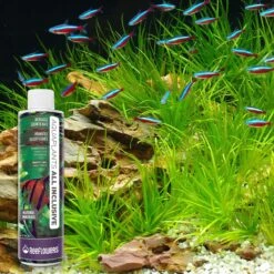 Reeflowers Aqua Plants All Inclusive Plant Fertilizer Fish Aquarium Water Conditioner -Plax Penn Shop 893470 PT6. AC SS1800 V1688750662
