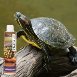 Reeflowers Mr. Turtle Fish Aquarium Water Conditioner, 2.9-oz Bottle 15 Reeflowers Mr. Turtle Fish Aquarium Water Conditioner, 2.9-oz Bottle -Plax Penn Shop 893582 PT6. AC SS1800 V1688749167